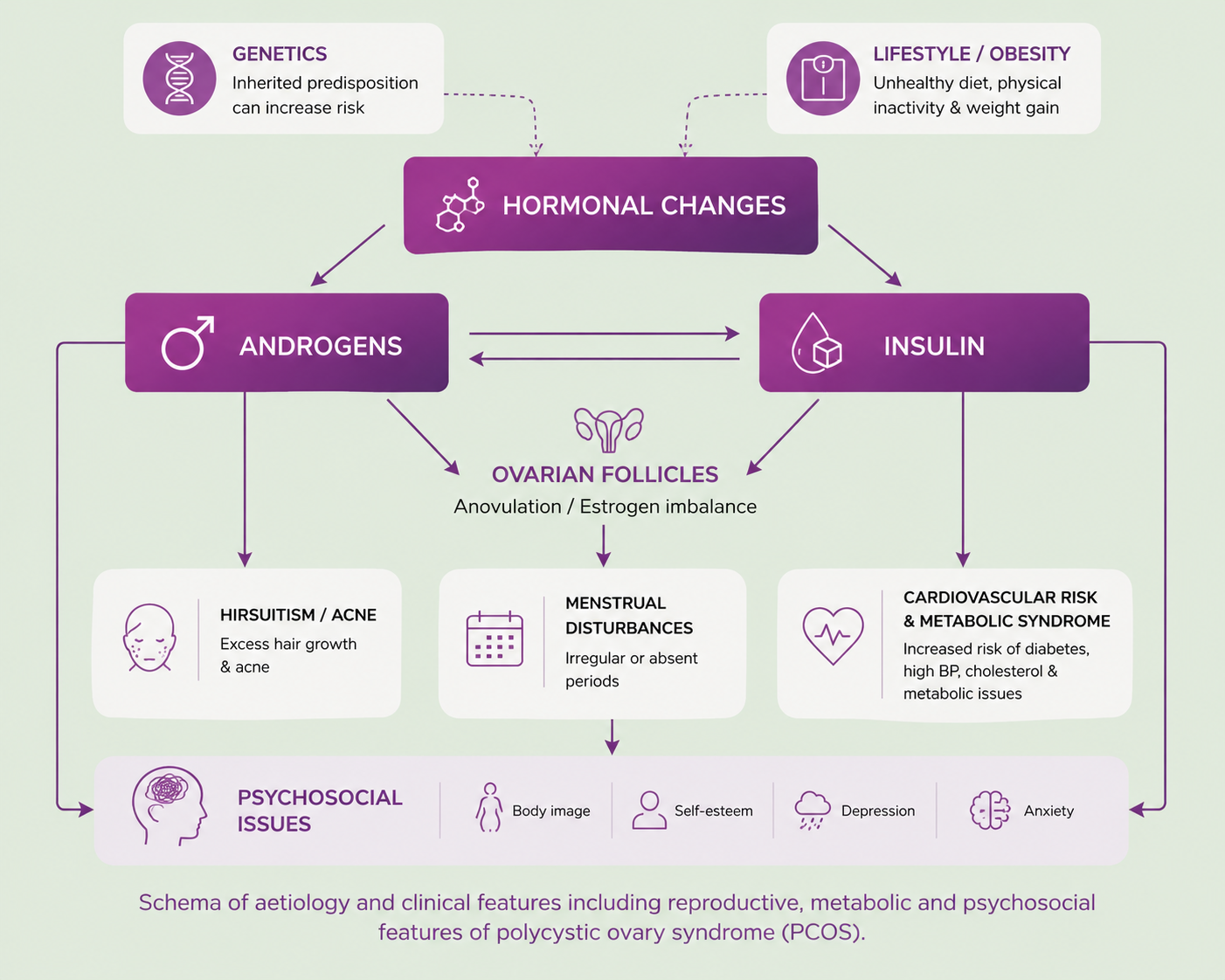 Schema of aetiology and clinical features of PCOS — reproductive, metabolic and psychosocial factors